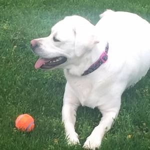 Meet your Posher, Joanne